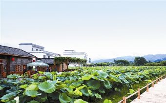 姚山村群山屯在哪？姚山村群山屯景点介绍