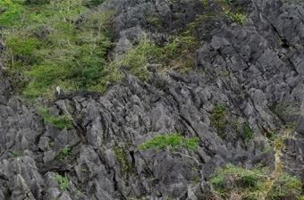 仙安石林在哪？仙安石林景点介绍