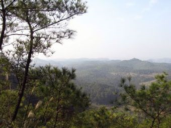 资中白云山在哪？资中白云山景点介绍