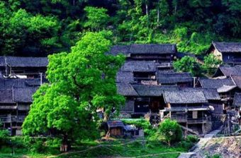 五指山黎寨自然村在哪？五指山黎寨自然村景点介绍