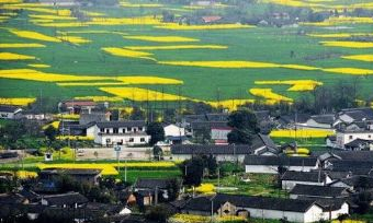 绵竹九龙山乡村旅游景区在哪？绵竹九龙山乡村旅游景区景点介绍