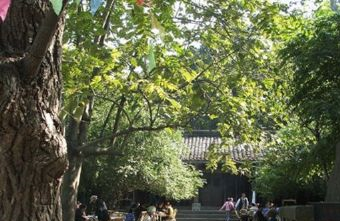 烟丛寺在哪？烟丛寺景点介绍