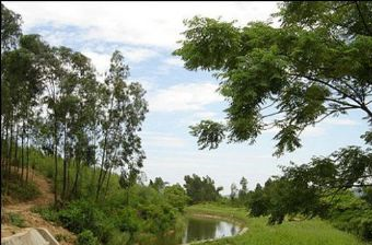 松林山在哪？松林山景点介绍