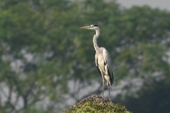 攀西沙拉民族生态旅游区在哪？攀西沙拉民族生态旅游区景点介绍