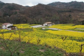 藏羌五龙村在哪？藏羌五龙村景点介绍