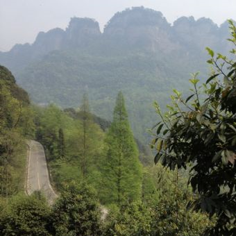 味江生态园在哪？味江生态园景点介绍