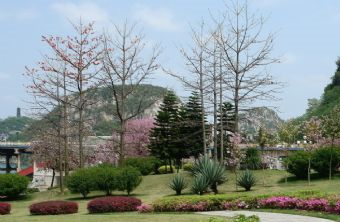 柳州市江滨公园在哪？柳州市江滨公园景点介绍