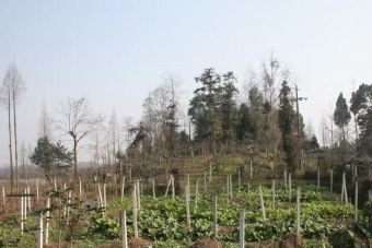 范家窑包在哪？范家窑包景点介绍