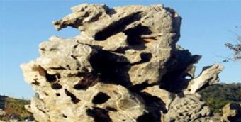 英石园在哪？英石园景点介绍