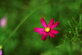 尹氏夫妇墓在哪？尹氏夫妇墓景点介绍