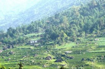 宜州南山在哪？宜州南山景点介绍