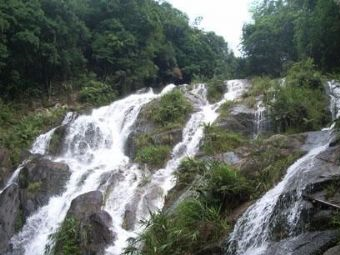 称架自然保护区在哪？称架自然保护区景点介绍