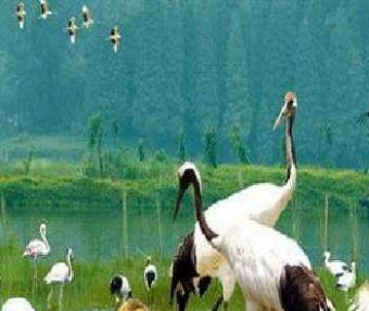 海南西海岸海尾湿地公园在哪？海南西海岸海尾湿地公园景点介绍