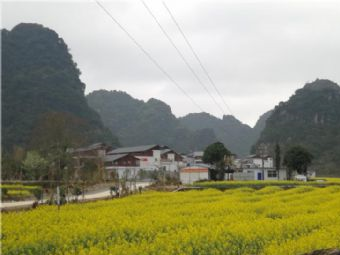 巴某村在哪？巴某村景点介绍