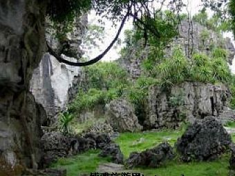 灌阳九龙岩在哪？灌阳九龙岩景点介绍