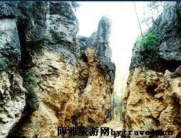 龙鳞坡石林在哪?龙鳞坡石林景点介绍