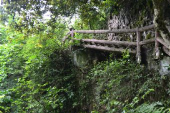 青城山五龙沟在哪？青城山五龙沟景点介绍