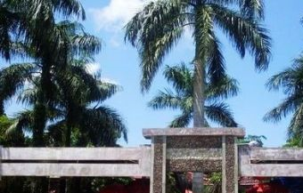 天涯雨林博物馆在哪?天涯雨林博物馆景点介绍