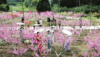 寺外桃源景區在哪？寺外桃源景區景點介紹