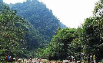 紫荆山景区在哪？紫荆山景区景点介绍