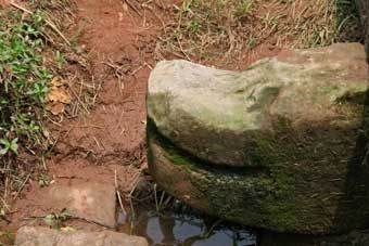 母猪桥在哪？母猪桥景点介绍