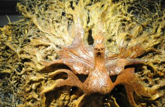 江湾神木园在哪？江湾神木园景点介绍