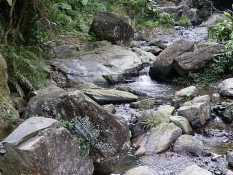 蒲垌自然生态旅游区在哪？蒲垌自然生态旅游区景点介绍