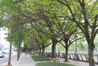 成都滨江公园在哪?成都滨江公园景点介绍