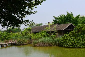 观音湖生态湿地公园在哪？观音湖生态湿地公园景点介绍