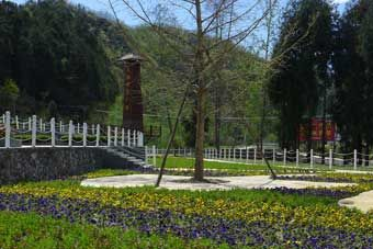 大坝·凌霄花谷在哪?大坝·凌霄花谷景点介绍