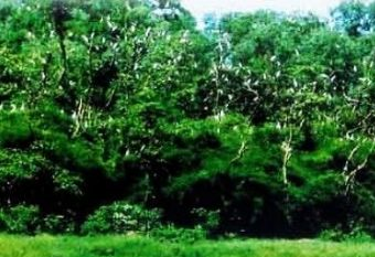 海南农垦万嘉热带植物园 农垦万嘉果农庄在哪？农垦万嘉果农庄（海南农垦万嘉热带植物园）景点介绍