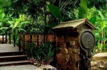 呀诺达雨林风景区在哪?呀诺达雨林风景区景点介绍