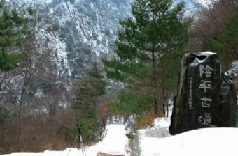 阴平古道在哪？阴平古道景点介绍