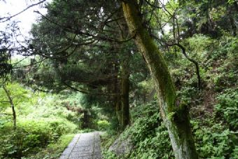 大烘豹自然保护区在哪？大烘豹自然保护区景点介绍