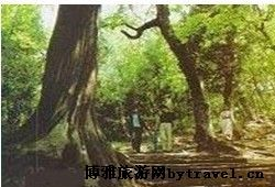 静宁寺在哪？静宁寺景点介绍