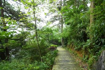 鸡谷山在哪？鸡谷山景点介绍