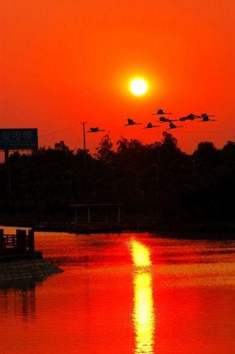 成都北湖公园在哪？成都北湖公园景点介绍