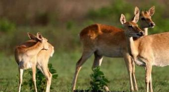 大田自然保护区在哪？大田自然保护区景点介绍
