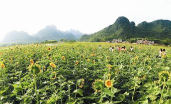 新岭村新归屯在哪？新岭村新归屯景点介绍