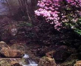 七星燕窝岭在哪?七星燕窝岭景点介绍