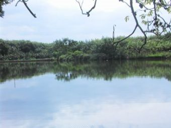 加乐湖村在哪？加乐湖村景点介绍