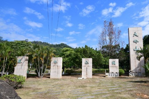 大岭山森林公园在哪？大岭山森林公园景点介绍