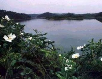 罗山水库在哪？罗山水库景点介绍