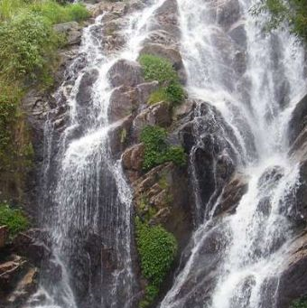 大水生态旅游区在哪？大水生态旅游区景点介绍