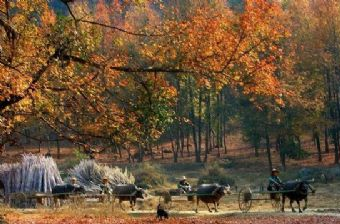 古砦民俗风情旅游区在哪？古砦民俗风情旅游区景点介绍