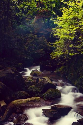 等乐安在哪？等乐安景点介绍