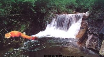 藏王寨老君山在哪？藏王寨老君山景点介绍