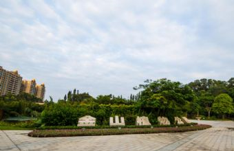 金山森林公园在哪？金山森林公园景点介绍