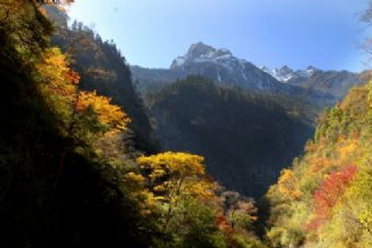 雪宝顶自然保护区在哪？雪宝顶自然保护区景点介绍