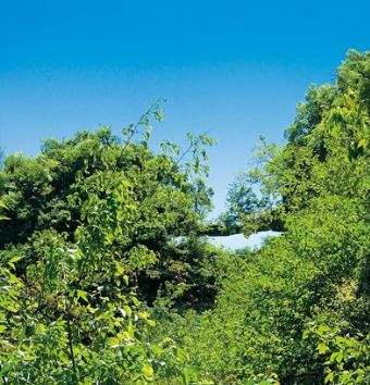 鬼架桥在哪?鬼架桥景点介绍